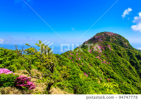 國見岳的美山霧島[長崎縣雲仙市] 94747778