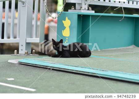 Scenery of Tashiro Island (commonly known as Cat Island) in Ishinomaki City, Miyagi Prefecture Scenery of Tashiro Island (commonly known as Cat Island) in Ishinomaki City, Miyagi Prefecture 94748239