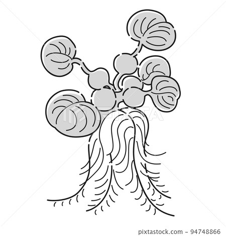 (黑白)蛺蝶(水生植物)插圖 (黑白)蛺蝶(水生植物)插圖 94748866