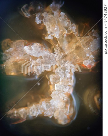 Heterogeneously formed crystals 94748927