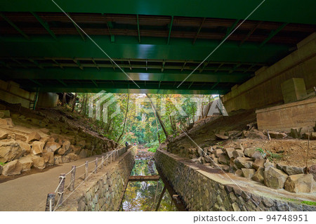 View of the Todoroki Valley Promenade in Setagaya Ward, Tokyo from the bottom of Loop Route 8 in autumn 94748951