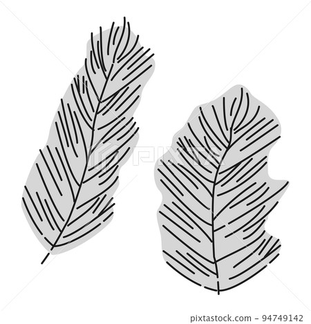 (Black and white) Matsumo illustration (aquatic plants) 94749142