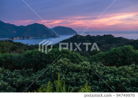 “靜岡縣”戀人岬的夜景 94749970