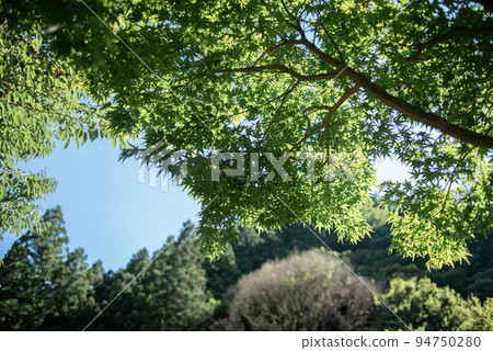 memories of summer camp memories of summer camp 94750280