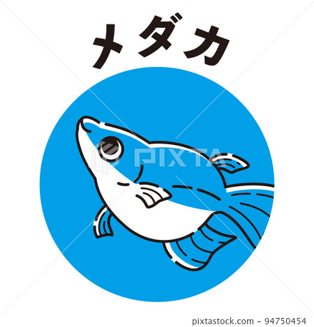 Medaka icon (Dharma Medaka) Medaka icon (Dharma Medaka) 94750454