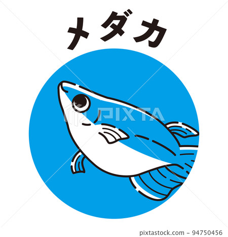 Medaka icon (half Dharma Medaka) Medaka icon (half Dharma Medaka) 94750456