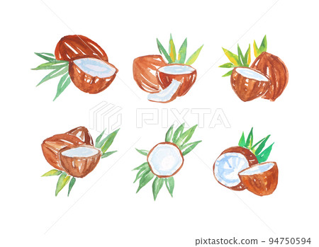 Watercolor coconuts set. Eco fresh organic exotic food cartoon vector illustration Watercolor coconuts set. Eco fresh organic exotic food cartoon vector illustration 94750594