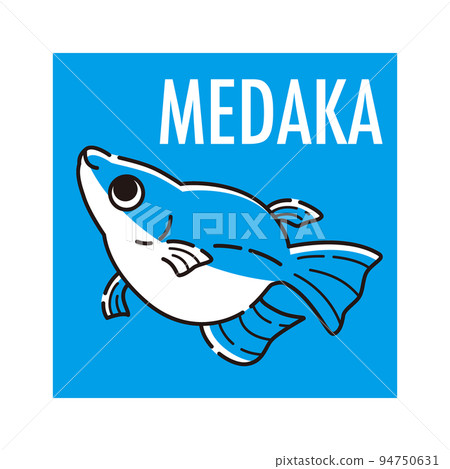 Medaka icon (Dharma Medaka) Medaka icon (Dharma Medaka) 94750631