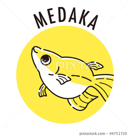 Medaka icon (Dharma Medaka) Medaka icon (Dharma Medaka) 94751720