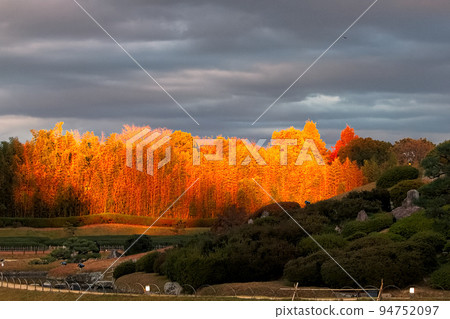 Okayama Korakuen Autumn Fantasy Garden 94752097