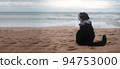 cat wearing sunglasses sitting on the beach with copy space. Funny Animal concept. Vacation concept. 94753000