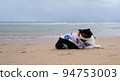 cat wearing sunglasses sitting on the beach with copy space. Funny Animal concept. Vacation concept. 94753003