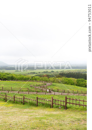 Baegyagi Oreum volcanic cone in Jeju island, Korea Baegyagi Oreum volcanic cone in Jeju island, Korea 94753011