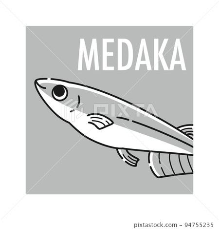 Medaka icon (black and white) Medaka icon (black and white) 94755235