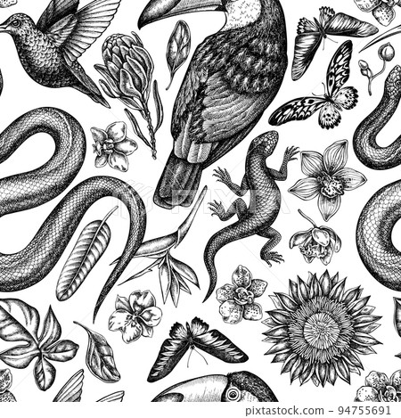 Tropical animals seamless pattern background design. Engraved style. Hand drawn snake, lizard, hummingbird, toucan, rajah brooke's birdwing, african giant swallowtail, monstera, strelitzia, protea 94755691
