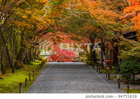 京都大原的秋天,秋葉的三千院,櫻花之馬場 京都大原的秋天,秋葉的三千院,櫻花之馬場 94755819