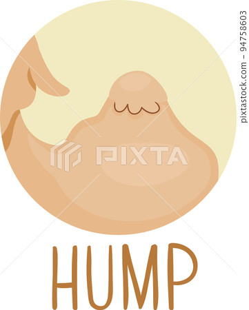 Animal Body Part Camel Hump Illustration Animal Body Part Camel Hump Illustration 94758603
