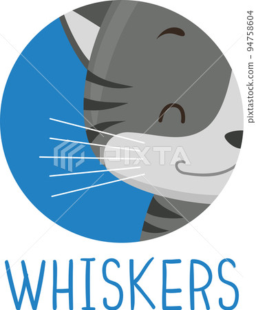 Animal Body Part Cat Whiskers Illustration 94758604