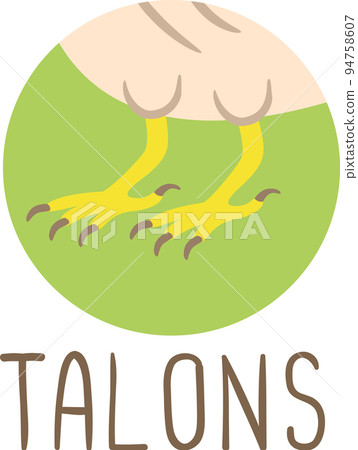Animal Body Part Eagle Talons Illustration Animal Body Part Eagle Talons Illustration 94758607