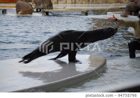 水族館的朋友 水族館的朋友 94758798