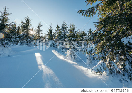 A group of people cross country skiing in the snow A group of people cross country skiing in the snow 94758906