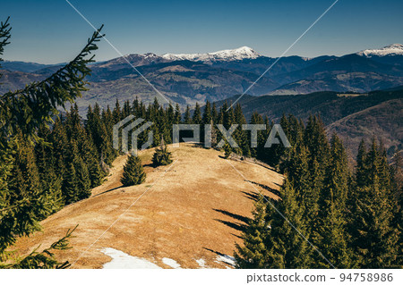 Snow-capped mountains, meadow among coniferous forest, spring, winter 94758986