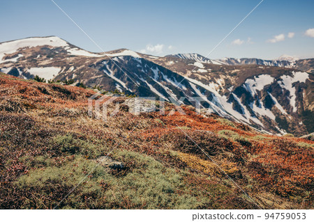 A field with a mountain in the background 94759053