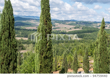 Abbey of San Galgano in the Province of Siena, Tuscany, Italy. 94759440