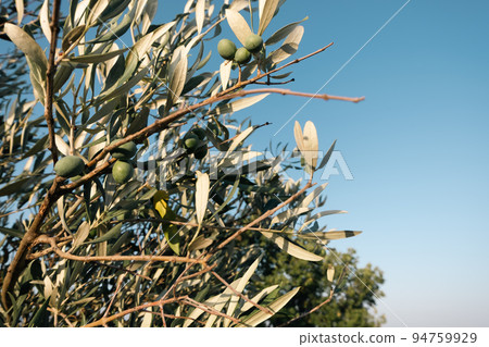 Beautiful view of Tuscany landscape and landmarks. Summer in Italy 94759929