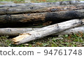 長滿草的樹幹，天然木紋。 94761748