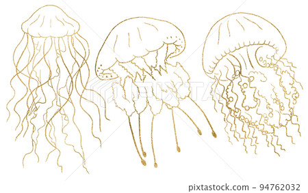 Golden outlines jellyfishes, isolated element for nautical sea wedding Illustration 94762032
