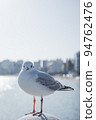 海鷗 94762476
