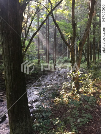 八王子市的風景,早晨的陽光照在小津川上 八王子市的風景,早晨的陽光照在小津川上 94765506