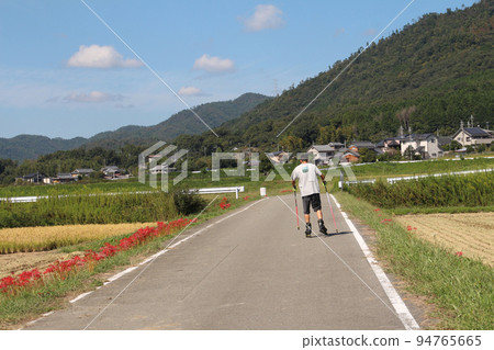 A man inline skating on a farm road where amaryllis blooms 94765665