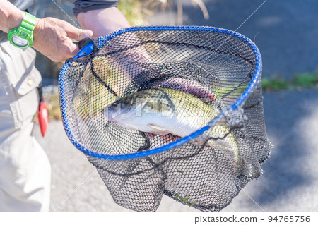 Lake Ashinoko Bass Fishing Lake Ashinoko Bass Fishing 94765756