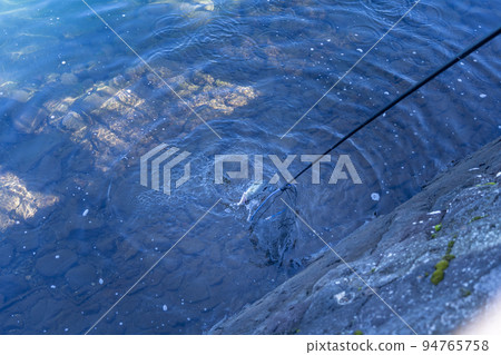 Lake Ashinoko Bass Fishing Lake Ashinoko Bass Fishing 94765758