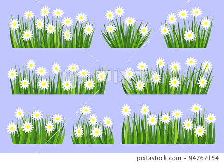 Green grass blossom white flower natural organic lawn flat banner set. Chamomile summer herb meadow. Daisy flowering fresh bush. Different shape spring herbal turf. Greenery leaves cartoon landscape Green grass blossom white flower natural organic lawn flat banner set. Chamomile summer herb meadow. Daisy flowering fresh bush. Different shape spring herbal turf. Greenery leaves cartoon landscape 94767154