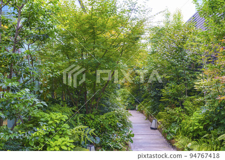 Hotel Hankyu RESPIRE OSAKA outdoor garden 94767418