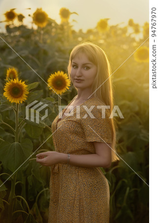 Attractive girl with long hair in a yellow dress posing among sunflowers in a field 94767970