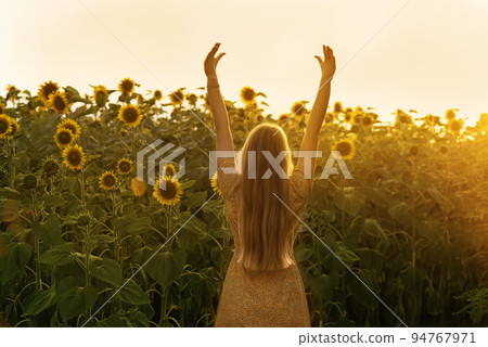 Attractive girl with long hair in a yellow dress posing among sunflowers in a field 94767971