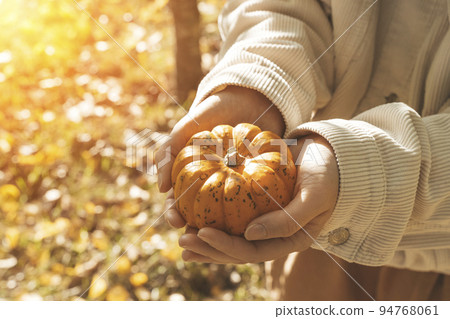 Pumpkin in the hands of a girl. Decorative orange pumpkin on a background of autumn foliage. Autumn coziness and mood, halloween, thanksgiving day concept. 94768061