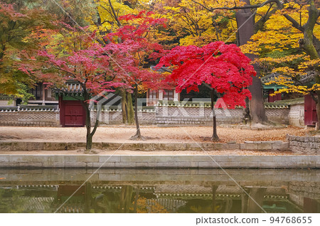 昌德宮郊遊 94768655