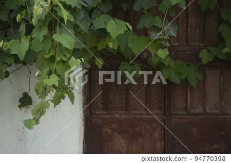 Vine plant at door front- vintage concept 94770398