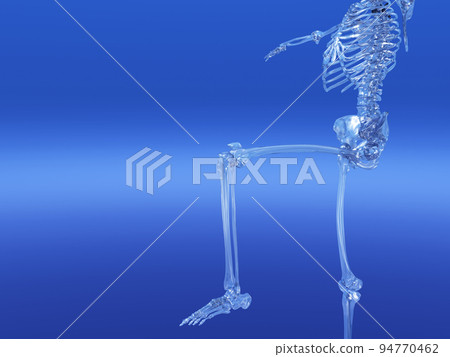 Human skeleton bone skeleton CG human body Human skeleton bone skeleton CG human body 94770462