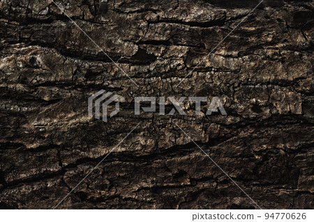 Old cracked tree bark close up as background, web banner, poster or wallpaper 94770626