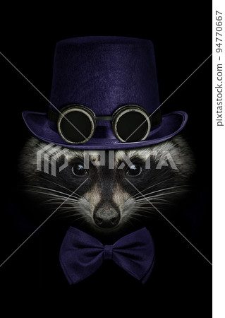 Raccoon face close up on black in a hat with canned glasses and tie butterfly Raccoon face close up on black in a hat with canned glasses and tie butterfly 94770667