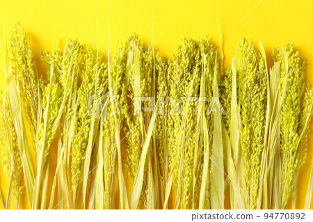 Hygge concept, dried flowers on yellow background Hygge concept, dried flowers on yellow background 94770892