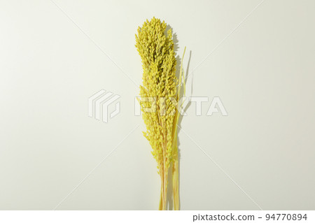 Hygge concept, dried flowers on white background 94770894