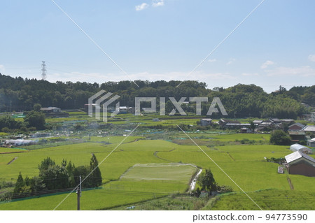 Autumn sunny countryside scenery 94773590