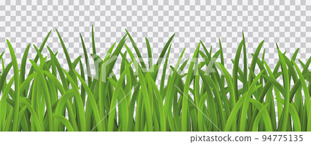 Bright vector green grass seamless pattern on transparent background Bright vector green grass seamless pattern on transparent background 94775135